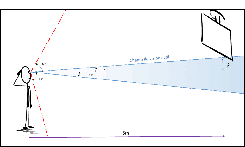 Champ de vision actif vertical : alors, votre écran n'est pas trop haut ?